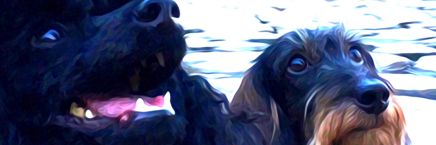 33Mkt's profile banner image