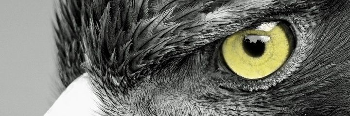 hseen1230's profile banner image