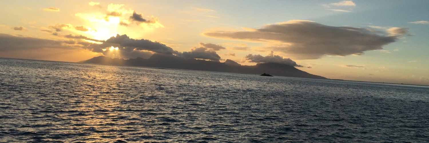 moycherem's profile banner image