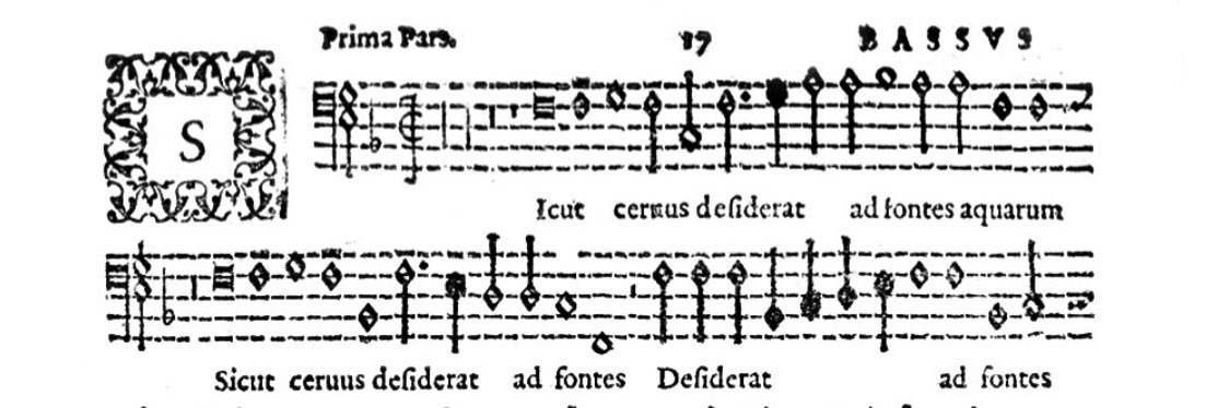 すらごびる banner