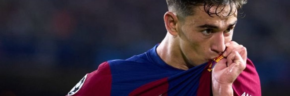 AnimoGavi6's profile banner image