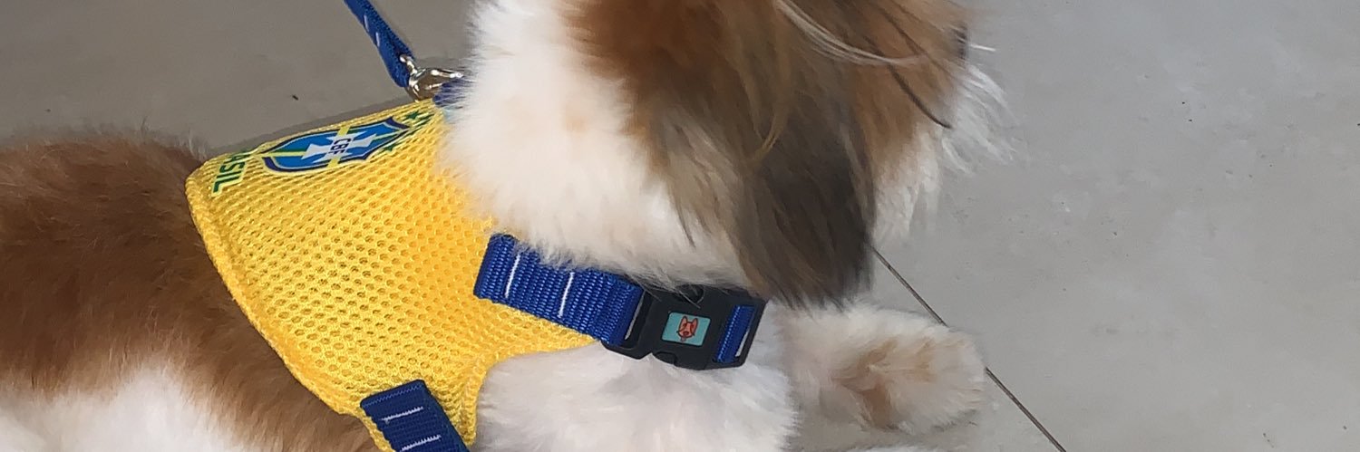 VictorPBAguiar's profile banner image