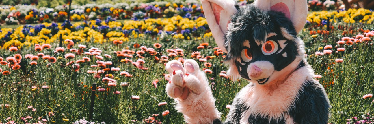 Shiloh 🦇@ Aurawra 2025!'s banner