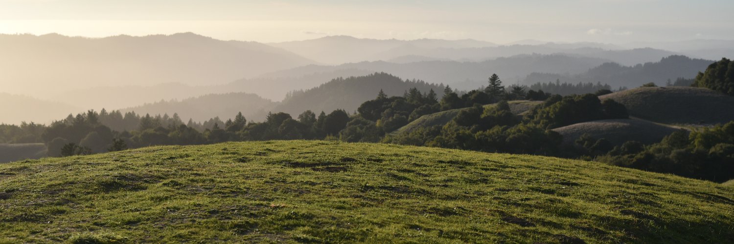 rogerhub's profile banner image