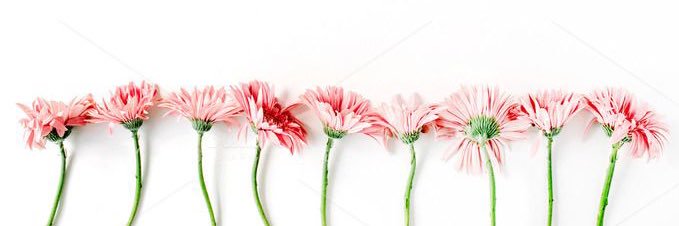 inmahurtd's profile banner image