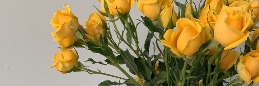 teresamarsh23's profile banner image