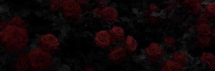 carlendula's profile banner image