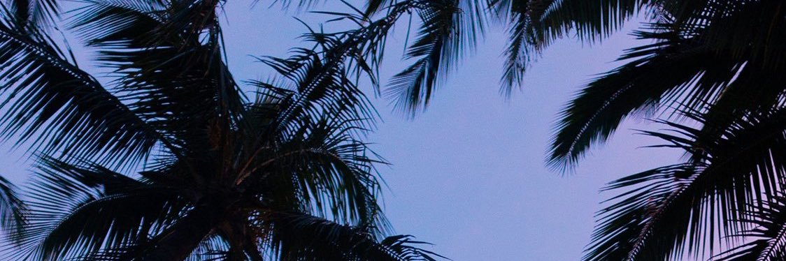 WMir20's profile banner image