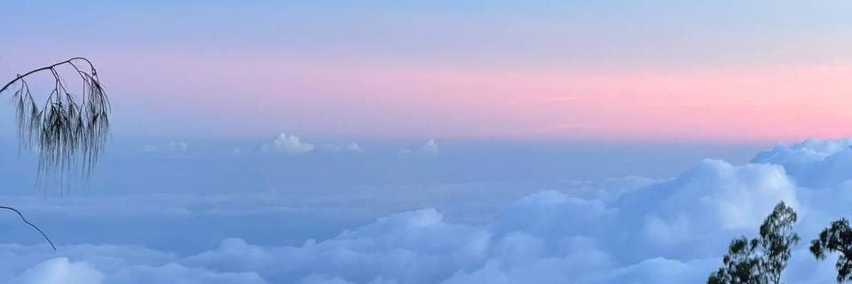 Sergey Sich 🍊,💊 banner