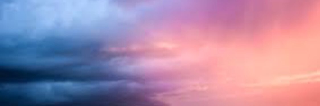 Natureconserve1's profile banner image