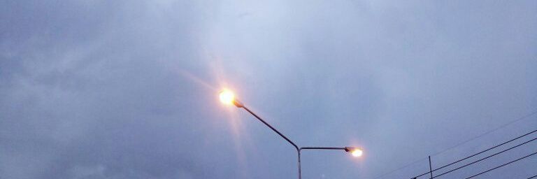 🌷♡ banner