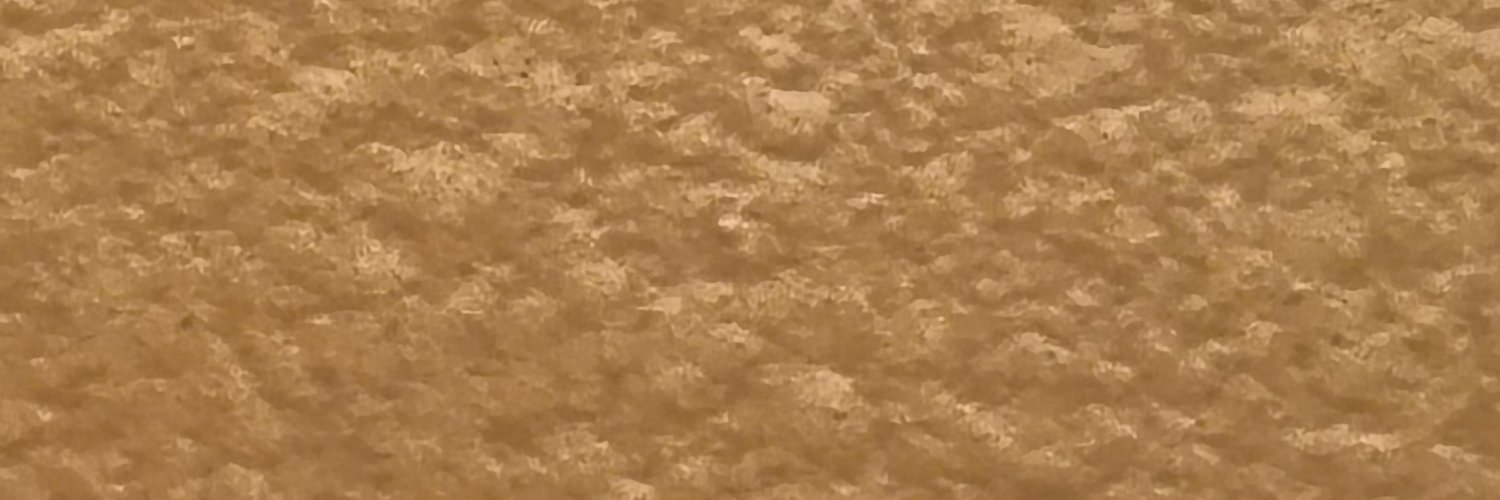 vjalave's profile banner image