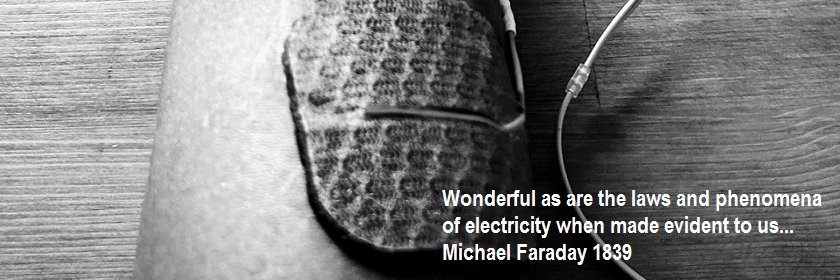 Int’l Functional Electrical Stimulation Society banner