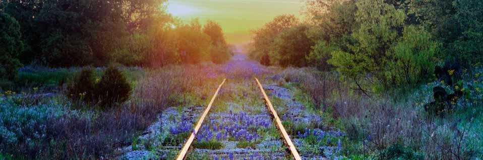 BluebonnetSwe's profile banner image