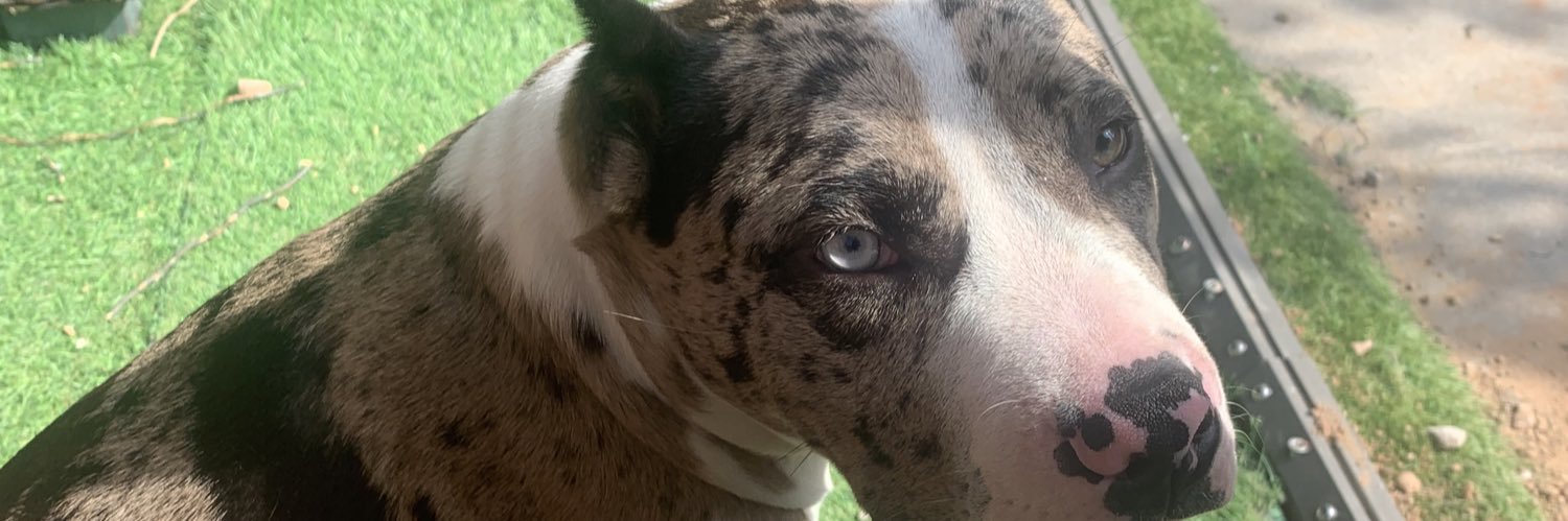 georgbcollingex's profile banner image