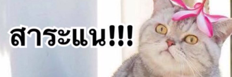 ใครทำได้ ทำเลยจ้า~ 🌸🌺🌼 banner