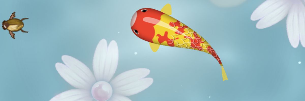 Xailel banner