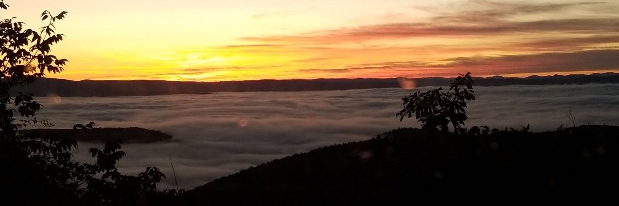 bing_wolfe's profile banner image