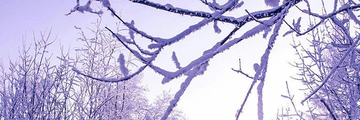 Abdullah Al breiki🇴🇲 banner