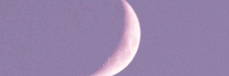 🌷FloreciTats🌼 banner