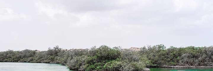 Sht0t's profile banner image