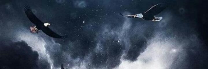 Ykslrgn1903🦅🇹🇷🖤🤍🖤 banner
