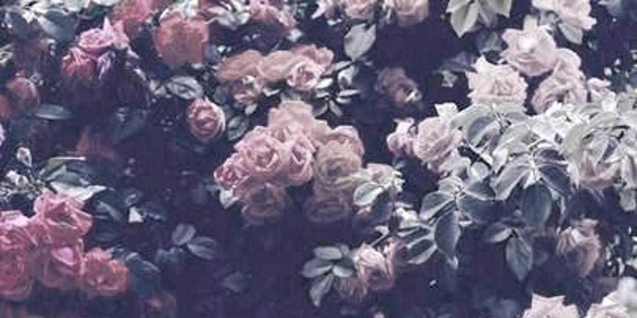 KateKonovalova7's profile banner image