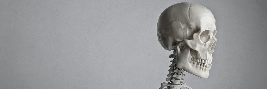 CryptoBoneDude's profile banner image