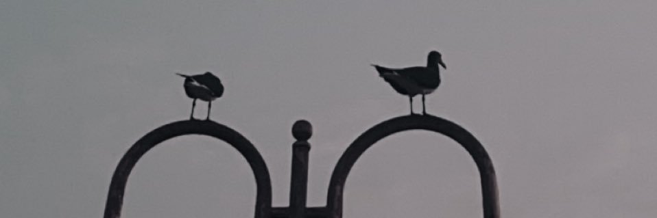 Sllllsilll's profile banner image