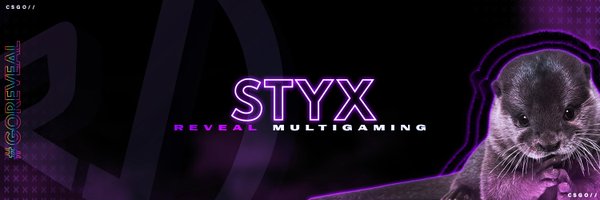 Styx_cs Profile Banner