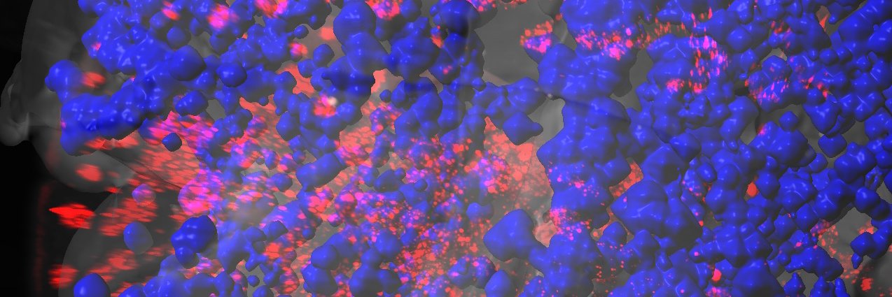 Krueger Lab (@kruegerlab.bsky.social) 🇺🇦 banner