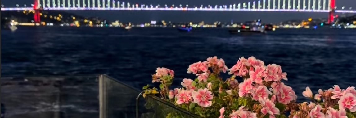 Yaraadelrushdy's profile banner image