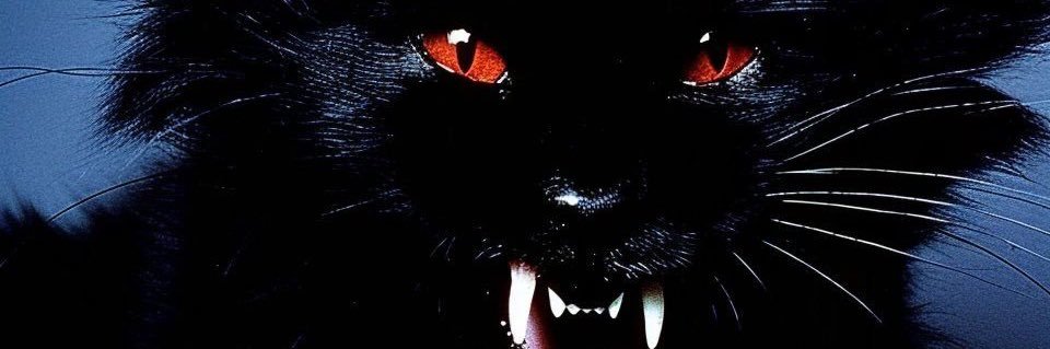 William (Wxllxxm)'s banner