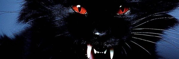 WxLLxxM Profile Banner