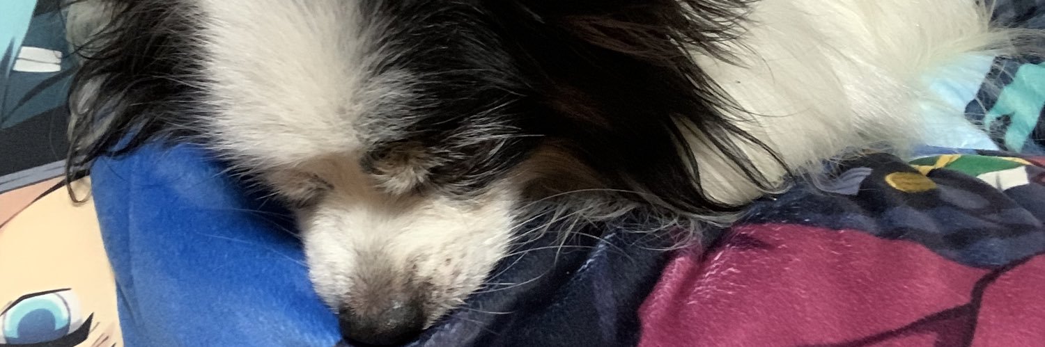 belglove's profile banner image