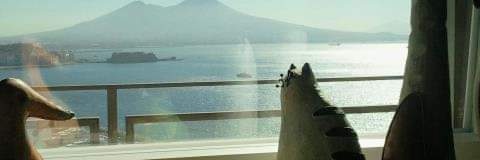 soloserena's profile banner image