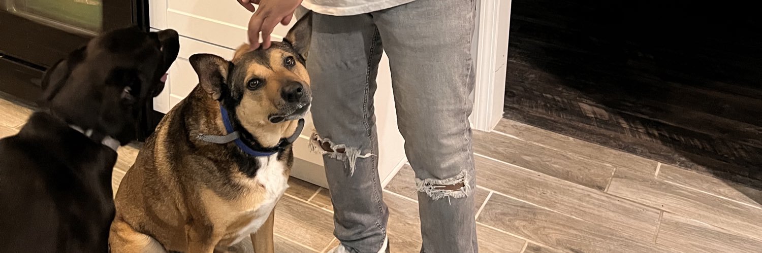 Terry The Virgo banner