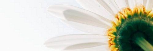 krypto593's profile banner image