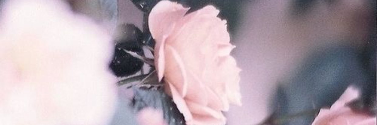 Angel47369602's profile banner image