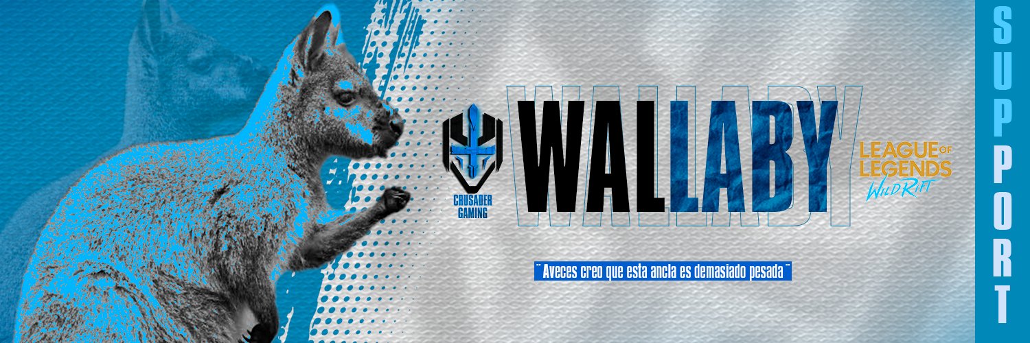 BeaWallaby's profile banner image