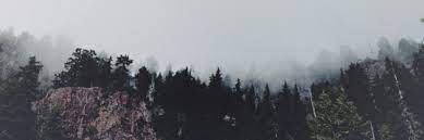 siudcdeg's profile banner image