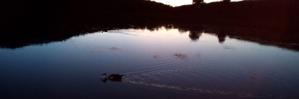 velascolf Profile Banner