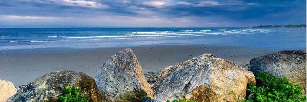 SSSurf's profile banner image