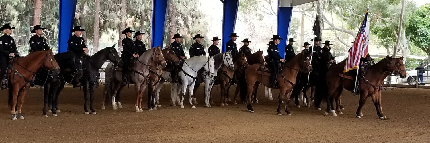 LAPD MOUNTED PLATOON banner