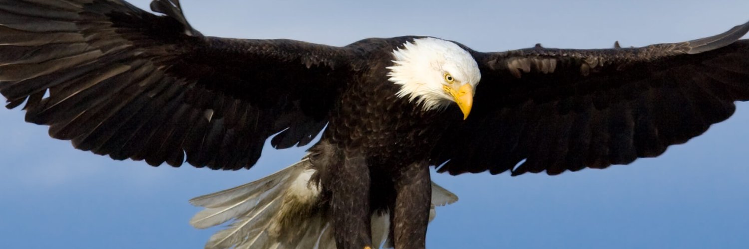 Eky4christ's profile banner image