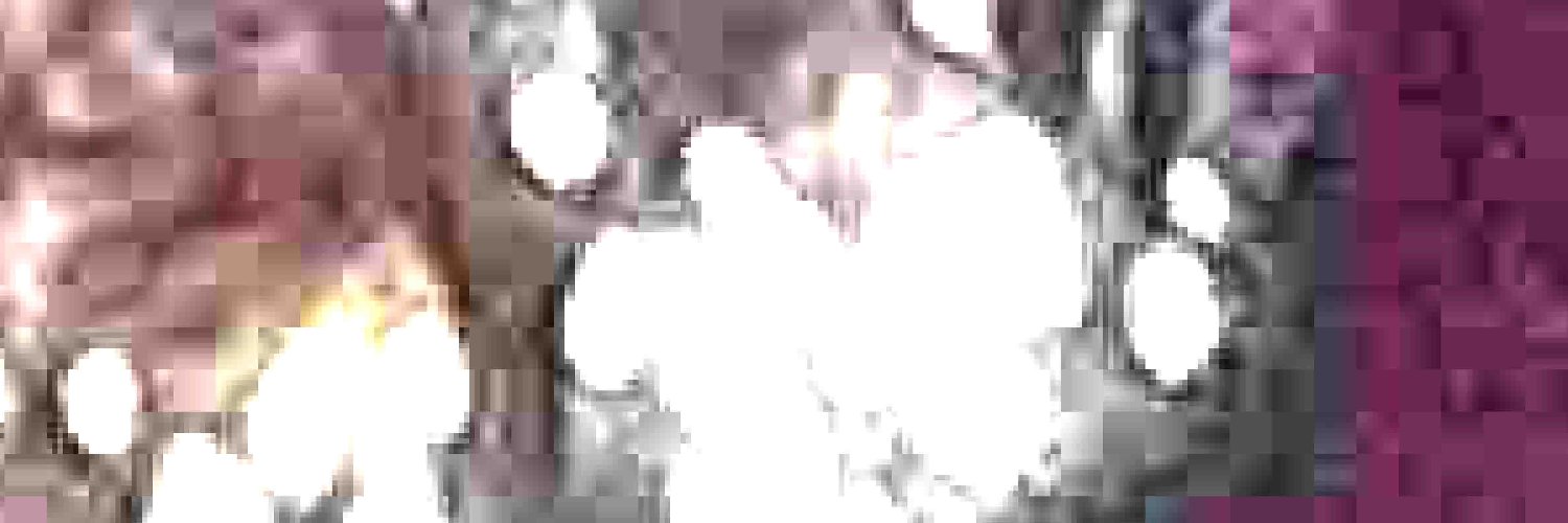 guilerme souza banner