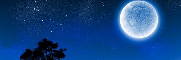 Tothozieck's profile banner image
