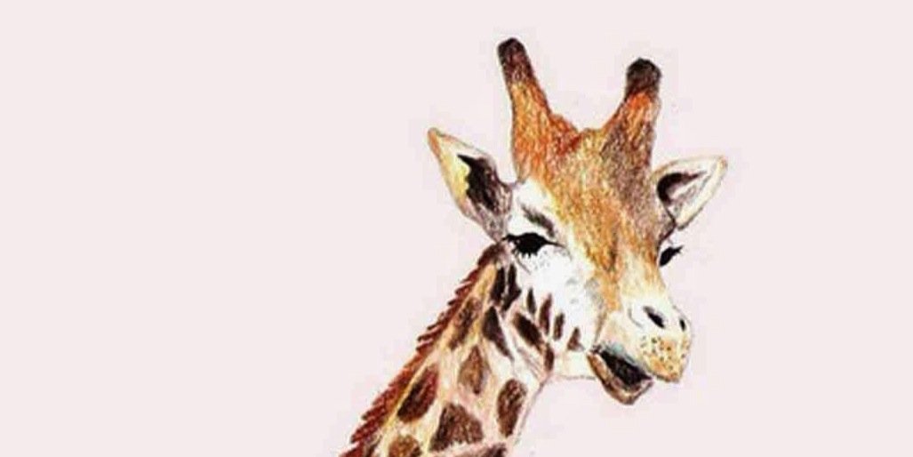nilssonslinnea's profile banner image
