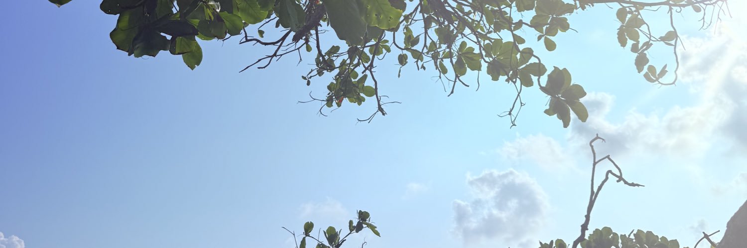 _lesyaa's profile banner image