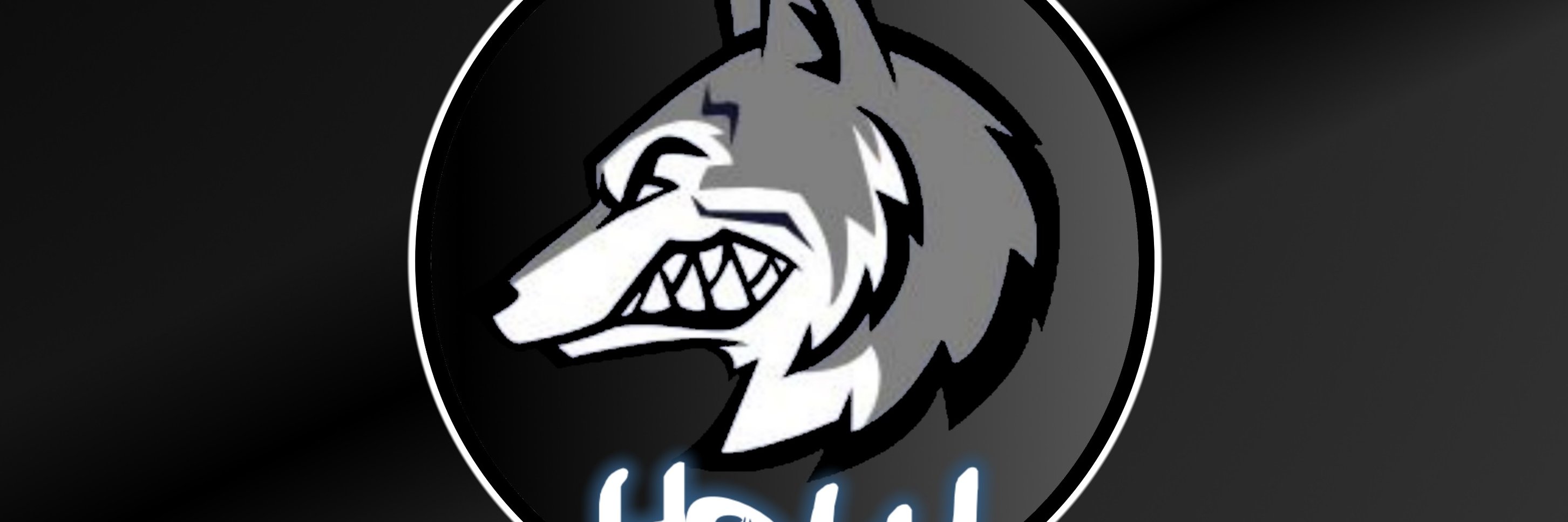 HskY_Husky's profile banner image